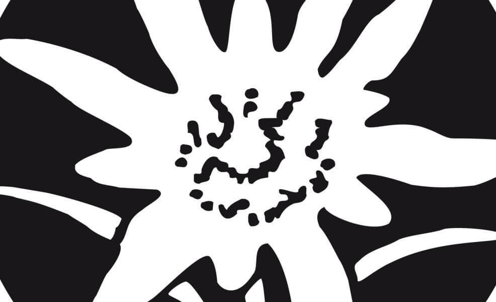 Landtagswahl 2018 Südtiroler Volkspartei sagt DANKE!